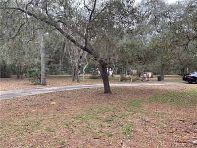 3350 N Page Ave, Hernando, FL 34442 - photo 5