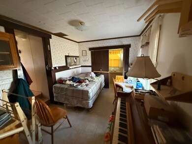 310 N Main St, Pine Island, MN 55963 - photo 6