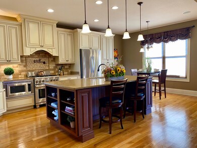 Gorgeous Gourmet Kitchen