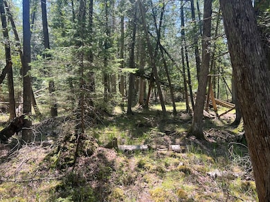 Us 23 Lot unit WP001, Ossineke, MI 48381 - photo 4