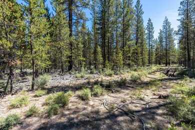 2022_07_11_lot_1300_dustin_rd_la_pine-2