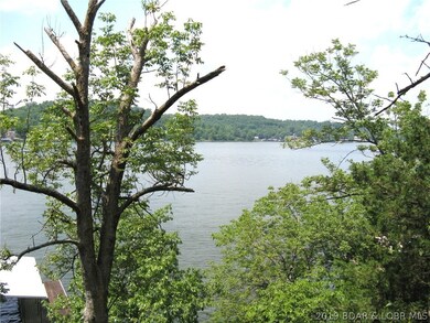 View from the deck, that tree needs to go, and it