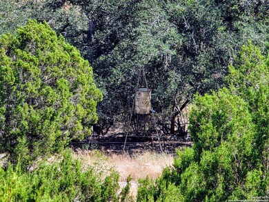 72.5 AC +/- Sd5570, Rocksprings, TX 78880 - photo 7