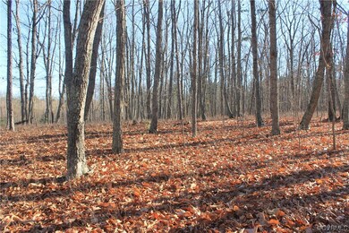 View of mother earth's splendor