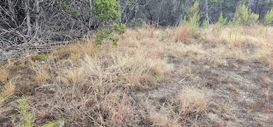 TBD Ropers Ln unit 13, Bandera, TX 78003 - photo 3