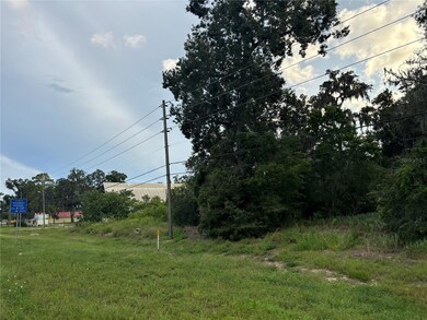 0 S Us Hwy 301 unit MFRA4632821, Belleview, FL 34420 - photo 6