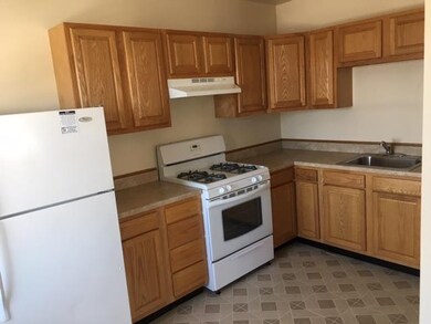 1539 E Oakton St unit D, Des Plaines, IL 60018 - photo 2