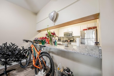 LVH_2025-26-HDR