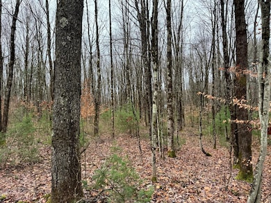 0 Preston Hill Rd, Camden, NY 13316 - photo 2