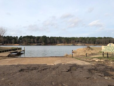 Lot 16 Hunters Hollow Dr, Mount Vernon, TX 75457 - photo 5