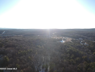 132 Wesskum Woods Rd, Johnstown, NY 12078 - photo 7