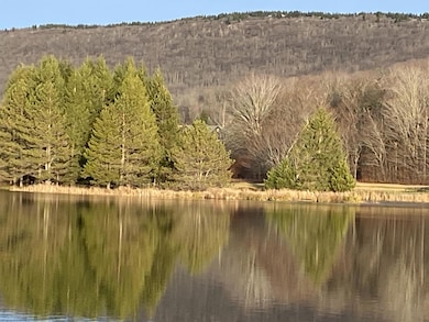 lot 42 Bobcat Rd, Davis, WV 26260 - photo 7