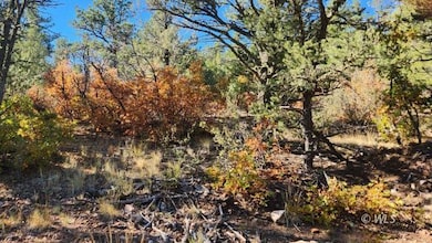 TBD L 42nd Trail, Cotopaxi, CO 81223 - photo 4