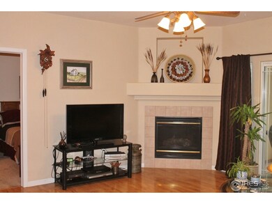 Warming Fireplace