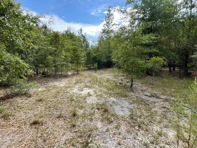 TBD Rivers Hill Rd unit B1, Varnville, SC 29944 - photo 4