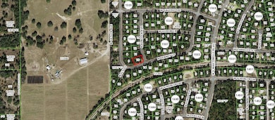 11290 N Kenney Loop, Citrus Springs, FL 34433 - photo 3