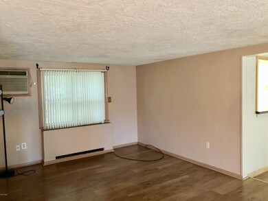 206 Lake Dr, Dingmans Ferry, PA 18328 - photo 3