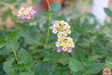 5203 Alhama Dr, Woodland Hills, CA 91364 - photo 2