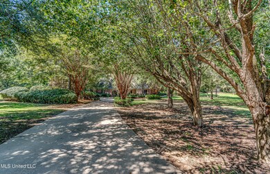 338 Hillview Rd-6