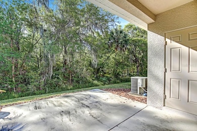 15909 Fishhawk View Dr, Lithia, FL 33547 - photo 4