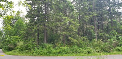 272 XX 96th Ave E, Graham, WA 98338 - photo 3