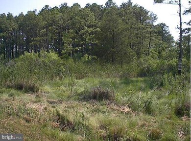 0 Kirwans Neck Rd, 5, Lakes, MD - photo 4