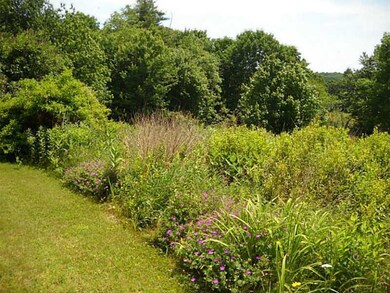 Yard/Garden.