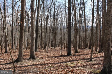 6.11 AC Sideling Mountain Trail, Great Cacapon, WV 25422 - photo 4