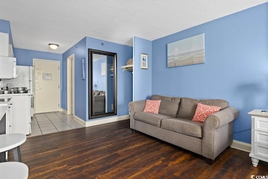 Sea Mist Resort- Driftwood unit 51304, Myrtle Beach, SC 29577 - photo 7