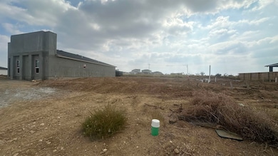 3919 Yoyis St, Laredo, TX 78046 - photo 3