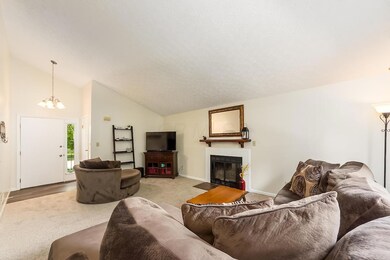 T 3653 Wango ct00009