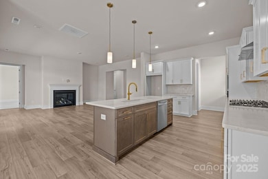 1189 Pinecone Ave, Indian Land, SC 29707 - photo 3