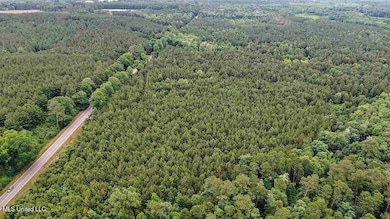 02 Highway 28, Mize, MS 39116 - photo 7