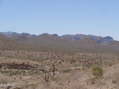 View of Superstion Mountains