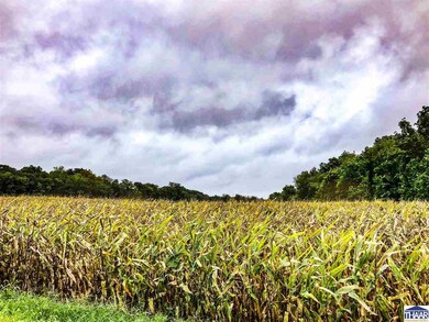 800 South St, Rosedale, IN 47874 - photo 3