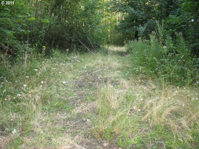 0 S Bird Rd, Molalla, OR 97038 - photo 7