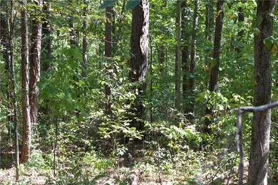 6 Earby Ln, Bella Vista, AR 72714 - photo 3