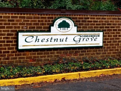 Chestnut Grove Condominiums unit 11256-244, Reston, VA 20190 - photo 2