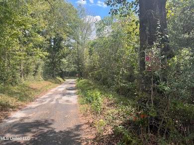 0 Gladhurst Rd, Magnolia, MS 39652 - photo 5