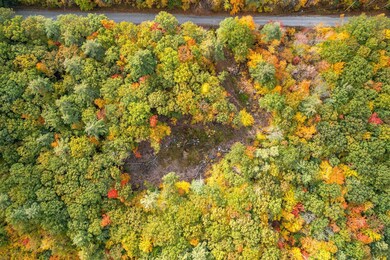 136 Ashbury Ln, Acton, ME 04001 - photo 6