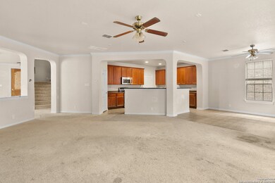 8102 Jalane Park, San Antonio, TX 78255 - photo 3