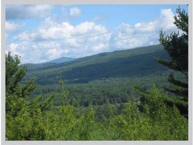 #20 Ski Lift Ln, Plymouth, NH 03264 - photo 3