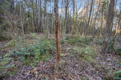 0 La Hwy 967 unit 22338509, Saint Francisville, LA 70775 - photo 6