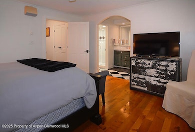 800 E Hopkins Ave unit A1, Aspen, CO 81611 - photo 7