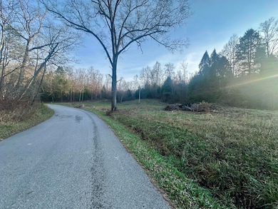 Lot 10 Hensley Rd, East Bernstadt, KY 40729 - photo 3