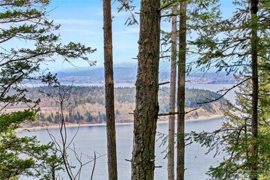 3075 Hales Passage Dr unit Lot 4, Lummi Island, WA 98262 - photo 6