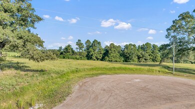 363 Private Road 3399, Big Sandy, TX 75755 - photo 7