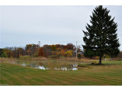 Enjoy the pond in the front yard