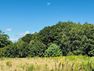 Field & woods