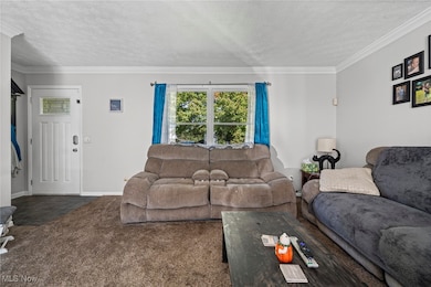 252 Saxe Rd, Mogadore, OH 44260 - photo 5